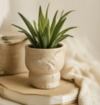 Для дому та саду