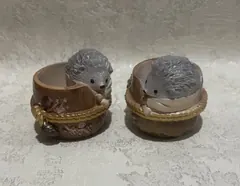 Гіпсові кашпо з їжачками