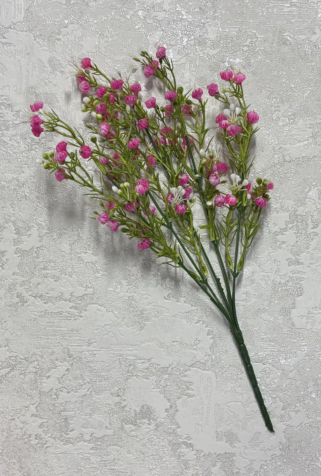 Гіпсофіла рожева